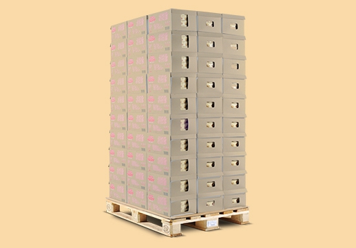 Marlenka Napoleon 300mm