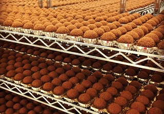 Marlenka sütemények  és receptek